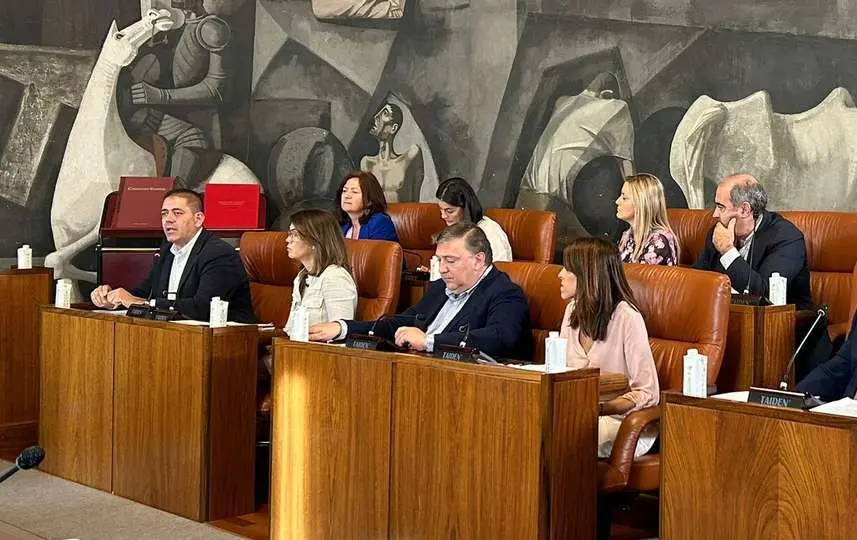PSOE Pleno Diputaci&oacute;n