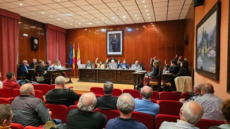 Pleno de Manzanares