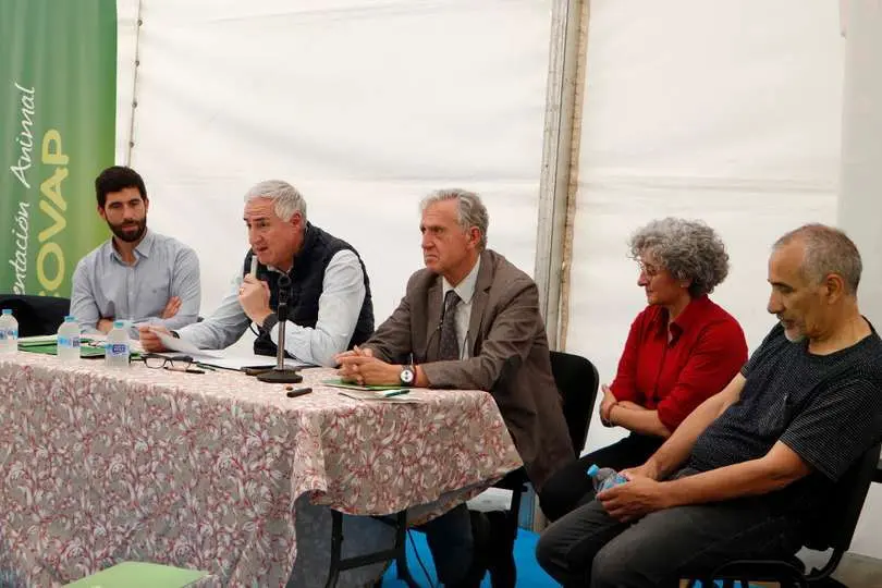 Mu&ntilde;oz D&iacute;az, Lozano Garc&iacute;a, Montoya Beneytez, Mart&iacute;nez Bl&aacute;nquez y Moreno Marcos