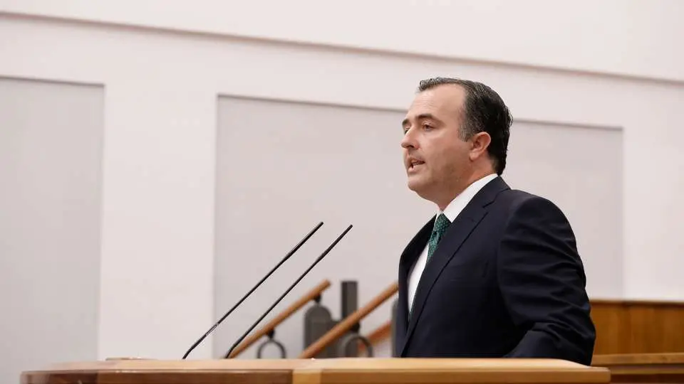 El presidente del grupo Vox en Castilla-La Mancha, David Moreno