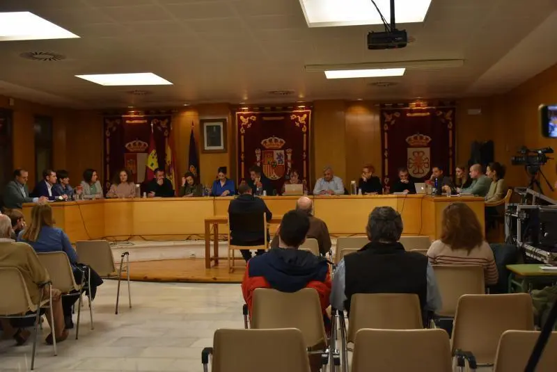 Pleno de Daimiel