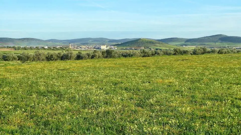 Entorno de Santa Cruz de Mudela