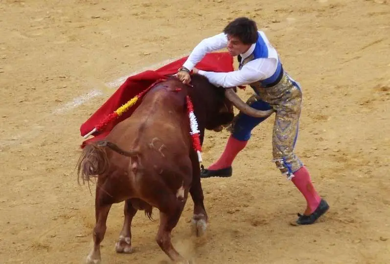 Foto: GACETA