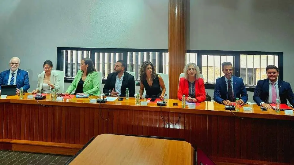 Grupo Municipal Socialista de Puertollano