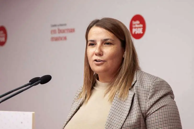 La presidenta de la Ejecutiva provincial del PSOE de Toledo, Tita Garc&iacute;a &Eacute;lez