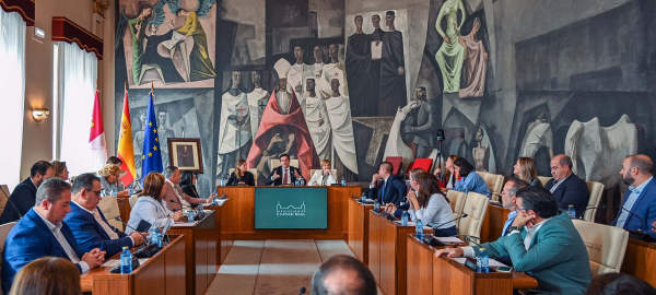 Pleno Diputaci&oacute;n