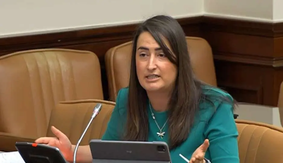 La diputada nacional y portavoz del PSOE provincial de Ciudad Real, Cristina L&oacute;pez Zamora