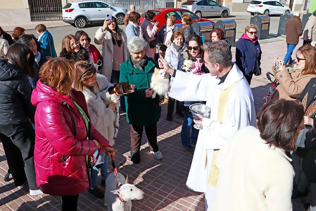 El p&aacute;rroco, bendiciendo las mascotas tras la funci&oacute;n religiosa de mediod&iacute;a