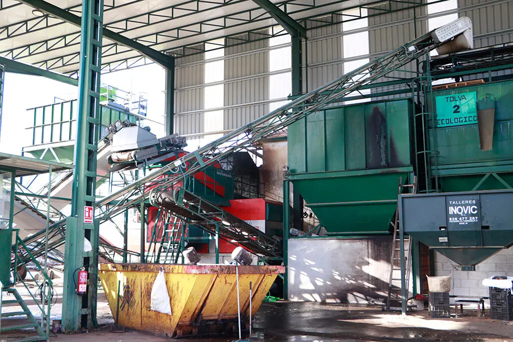 Zona exterior de recepci&oacute;n y seleecci&oacute;n de aceitunas