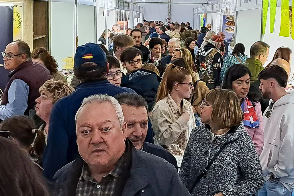 Interior de uno de los paisllos de la carpa de expositores comerciales y colectivos