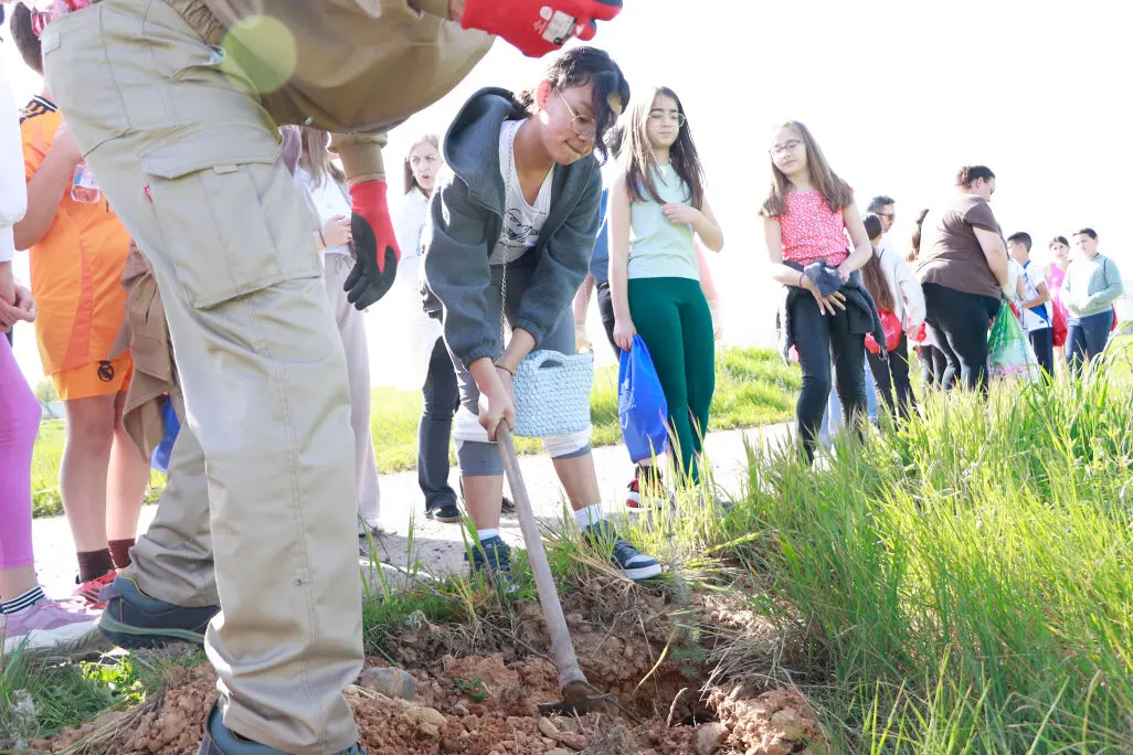 Una alumna, tapando por tierra las ra&iacute;ces de una de las plantas