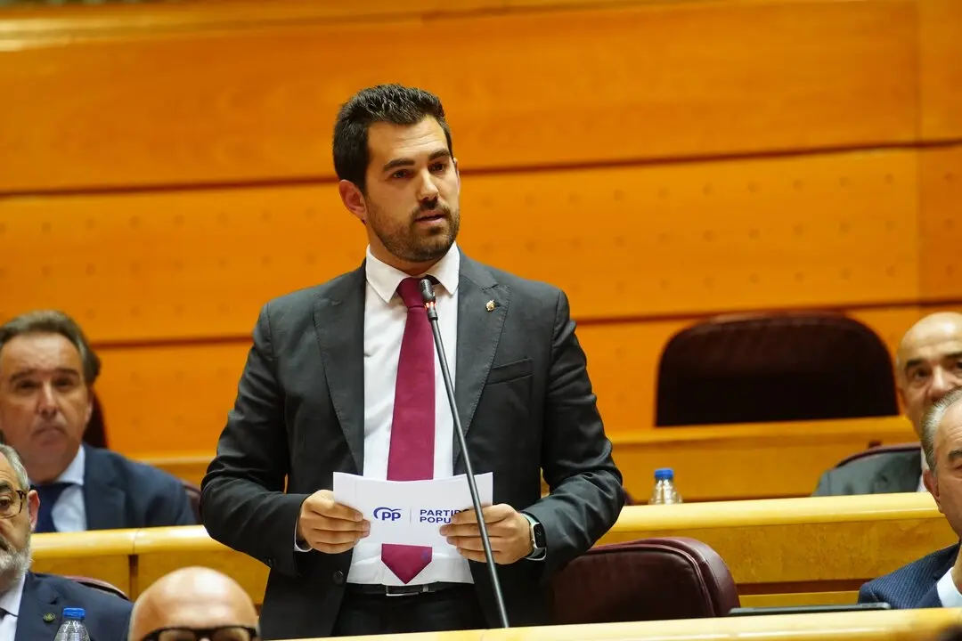 El senador del Partido Popular por la provincia de Ciudad Real, Ra&uacute;l Valero