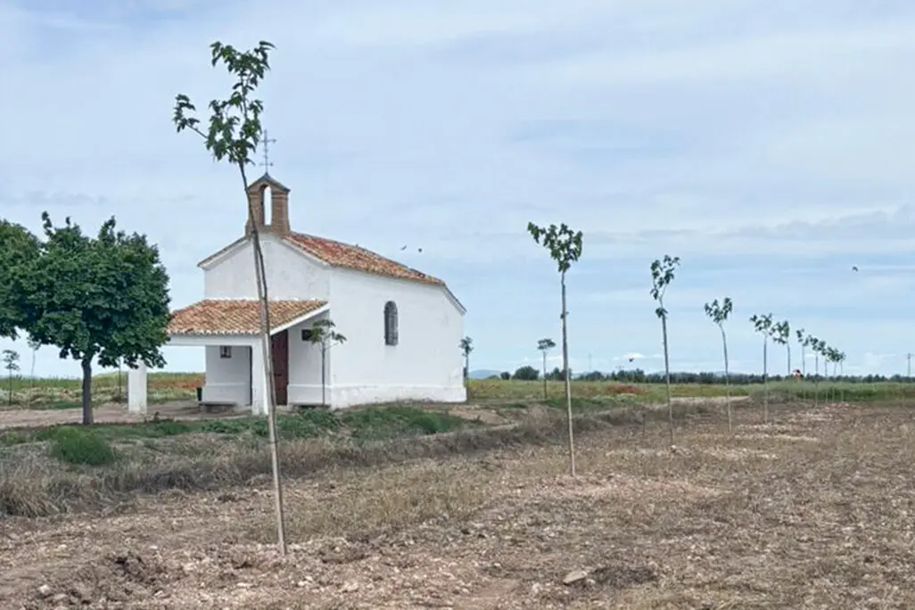 La ermita de San Isidro, con varias de las moreras plantadas a su alrededor