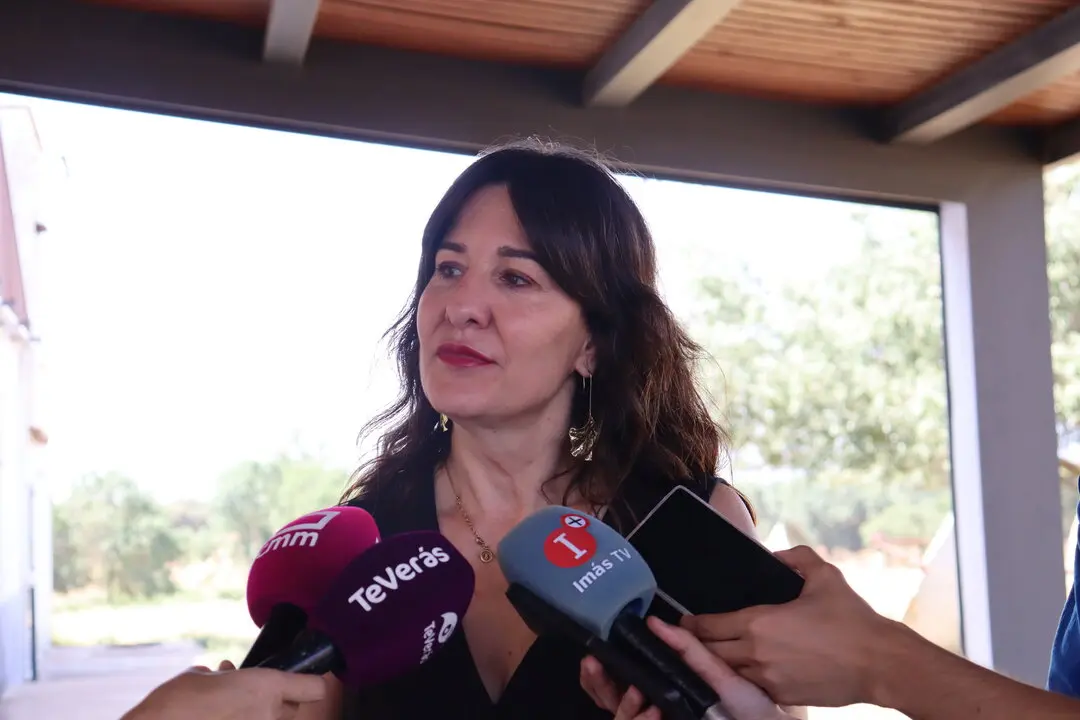 La vicesecretaria General del PSOE provincial de Ciudad Real, Blanca Fern&aacute;ndez