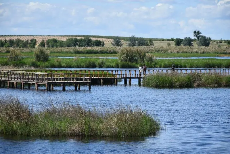 Parque Nacional de las Tablas de Daimiel