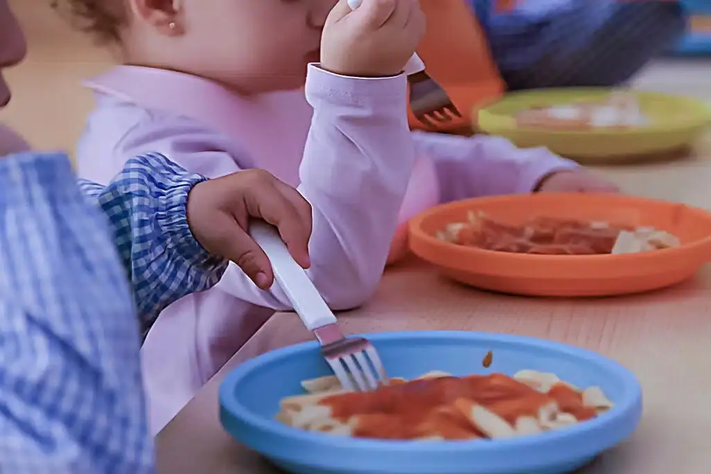 Servicio de comedor escolar en Argamasilla de Calatrava