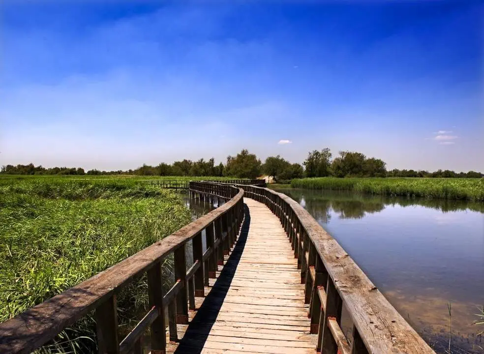 Tablas de Daimiel