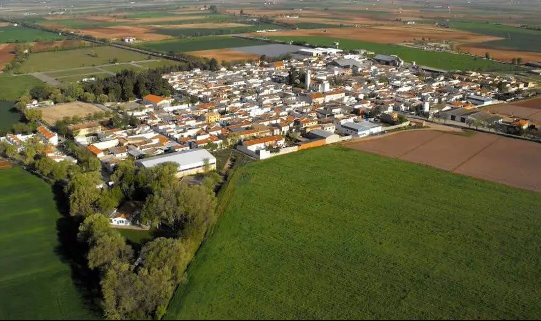 Llanos Caudillo