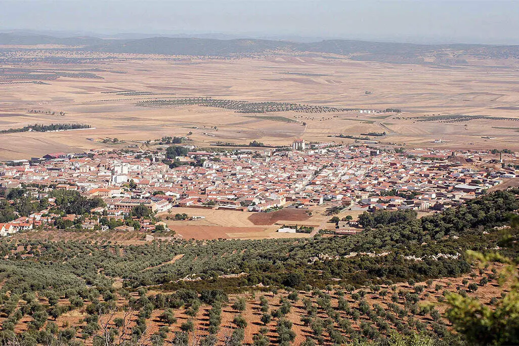 Panor&aacute;mica del entorno agr&iacute;cola de Almod&oacute;var del Campo
