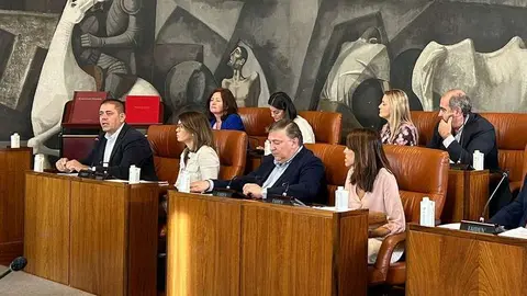 PSOE Pleno Diputaci&oacute;n