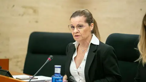 La directora del Instituto de la Mujer, Lourdes Luna