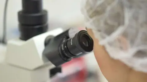 Investigadora