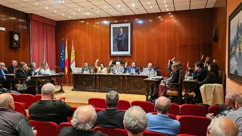 Pleno Manzanares