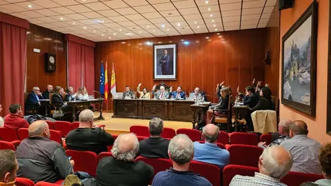 Pleno de Manzanares