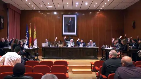 Pleno Manzanares