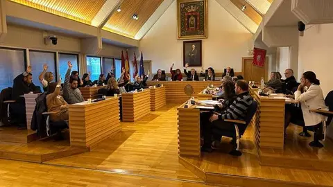 Pleno de Ciudad Real