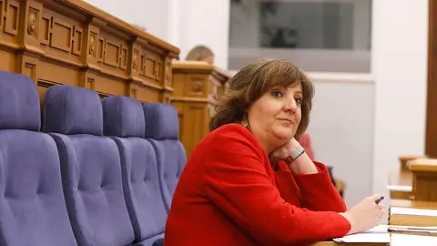 La consejera de Econom&iacute;a, Empresas y Empleo, Patricia Franco