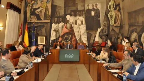 Pleno de la Diputaci&oacute;n de Ciudad Real