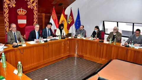 Pleno de Puertollano