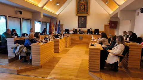 Consejo Escolar Municipal de Ciudad Real