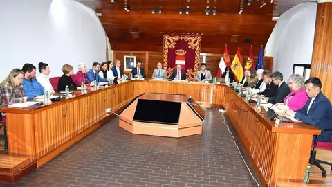 Pleno de Puertollano