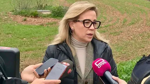 La secretaria general del GPP y portavoz en materia agraria del Partido Popular de Castilla-La Mancha, Lola Merino
