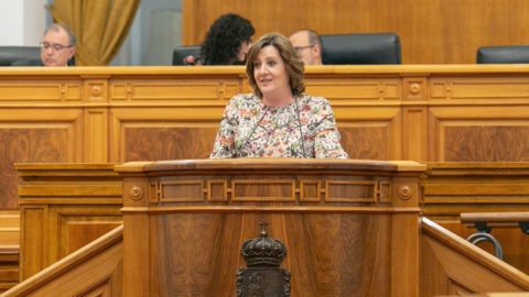 La consejera de Econom&iacute;a, Empresas y Empleo, Patricia Franco
