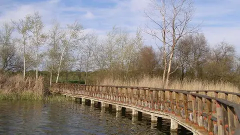 Tablas de Daimiel