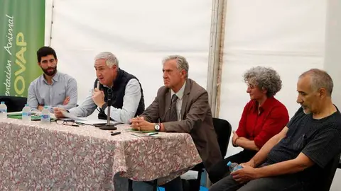 Mu&ntilde;oz D&iacute;az, Lozano Garc&iacute;a, Montoya Beneytez, Mart&iacute;nez Bl&aacute;nquez y Moreno Marcos