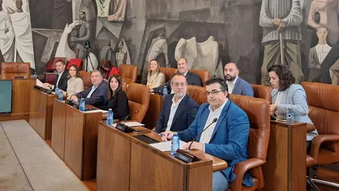 Grupo Socialista de la Diputaci&oacute;n de Ciudad Real