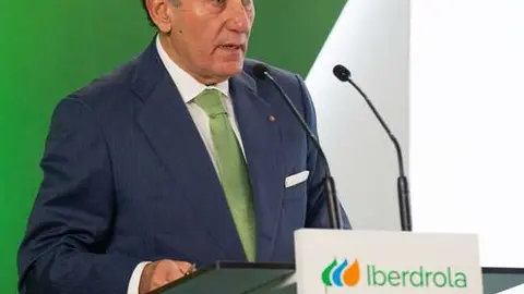 Ignacio Gal&aacute;n, presidente de Iberdrola