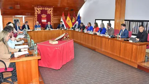 Pleno Puertollano