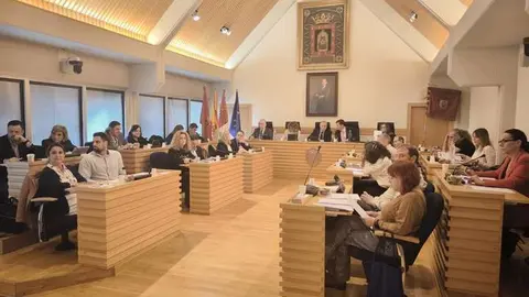 Pleno de Ciudad Real