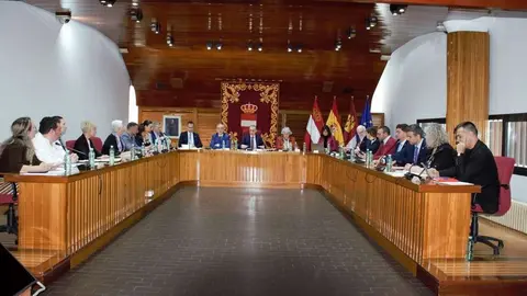 Pleno de Puertollano