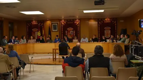 Pleno de Daimiel