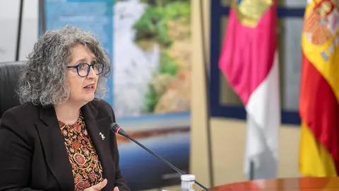 La consejera de Desarrollo Sostenible, Mercedes G&oacute;mez