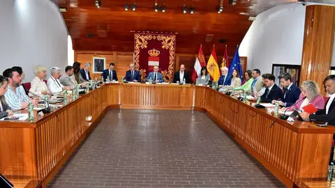Pleno de Puertollano