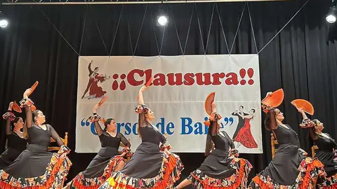Uno de los palos flamencos que se interpretaron