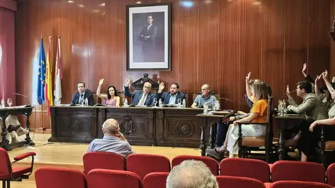 Pleno Manzanares