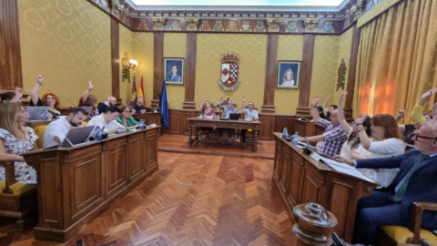 Pleno de Valdepe&ntilde;as